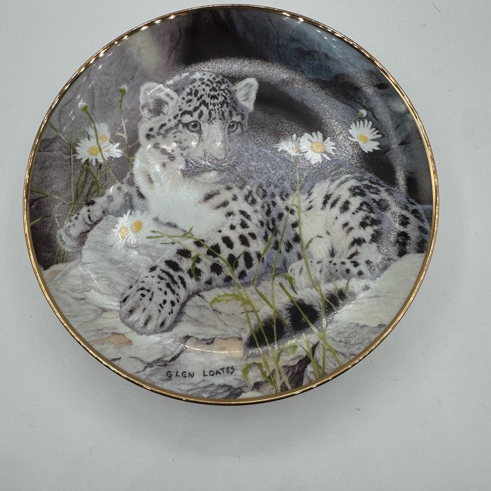 The Franklin mint collectors plate “ want to play?” collectors plate no. HH1783.